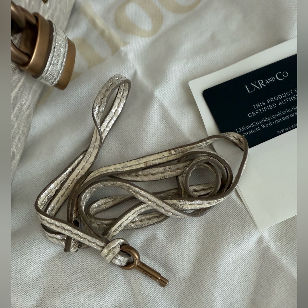 CHLOE Paddington Metallic Silver Leather Top-Handle all inclusive authentic card - Picture 5 of 16
